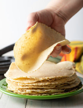 Homemade Corn Tortillas Recipe