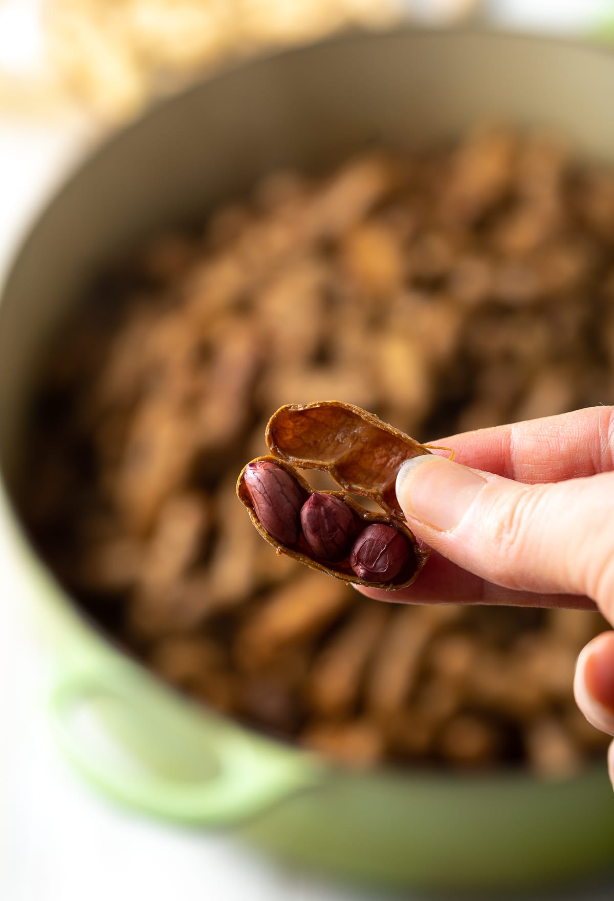 Cajun Boiled Peanuts Recipe A Spicy Perspective