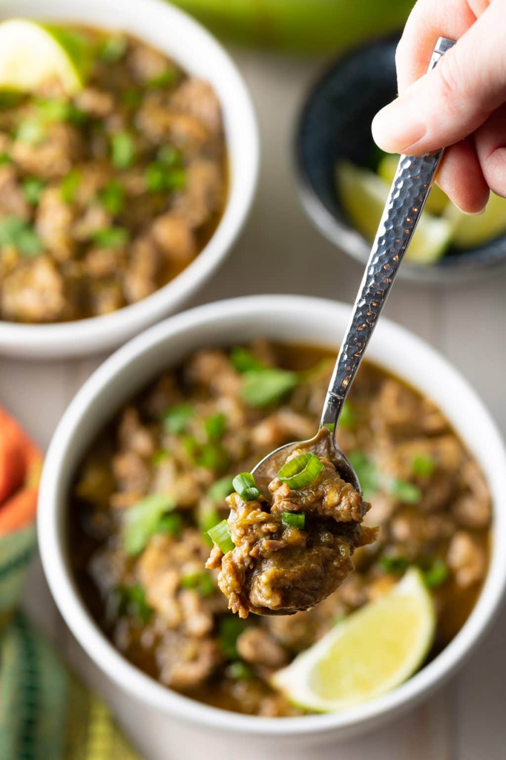 Pork Green Chili Recipe (New Mexico Chile Verde) A Spicy Perspective