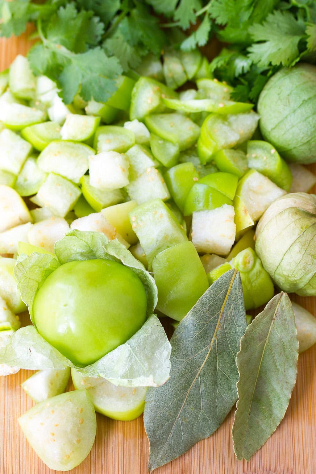 Pork Green Chili Recipe (New Mexico Chile Verde) A Spicy Perspective