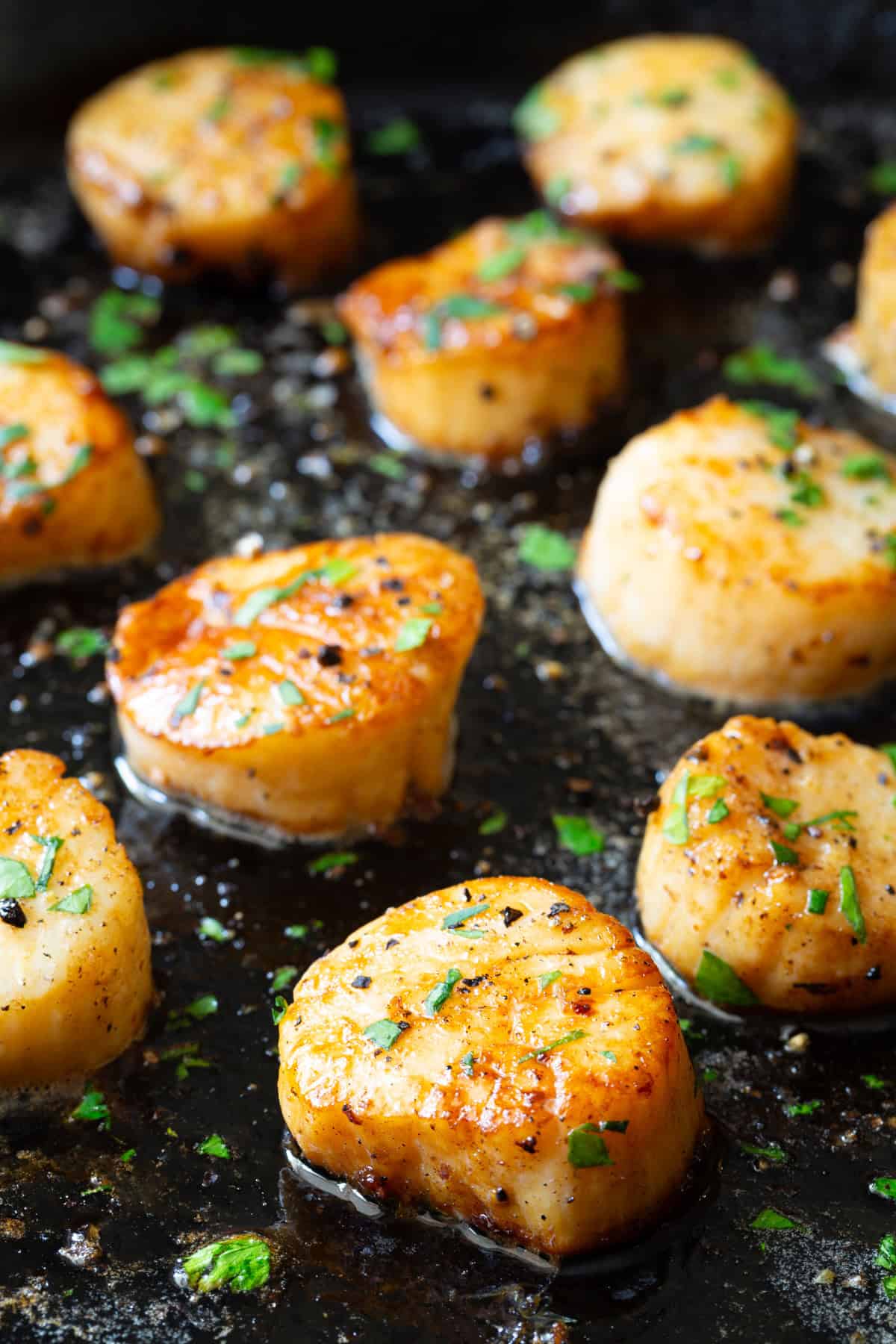 perfectly seared scallops
