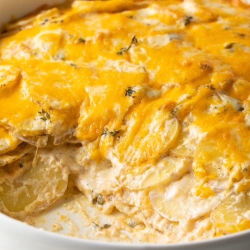 Cheesy Scalloped Potatoes Recipe Au Gratin A Spicy Perspective
