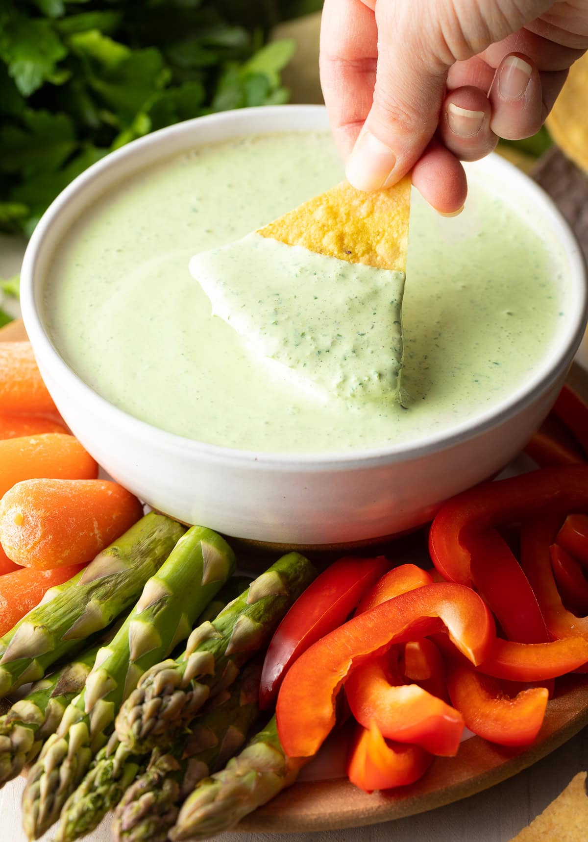 Chimichurri Aioli Sauce 2025