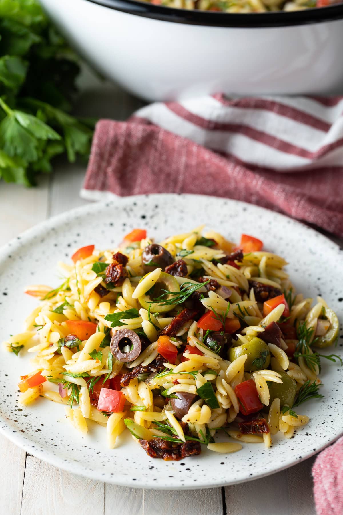 Orzo Pasta Salad Recipe A Spicy Perspective