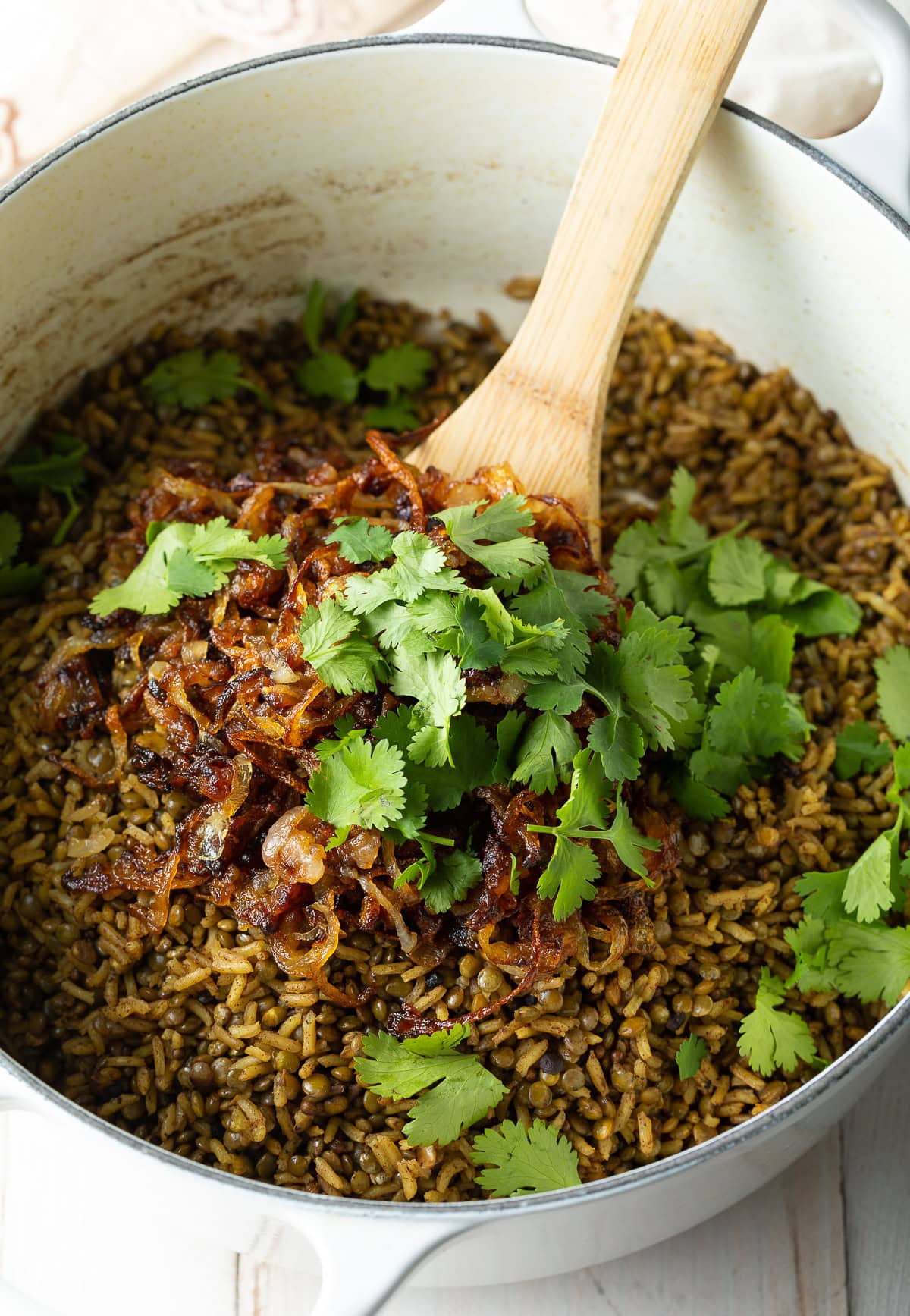 Mujadara Lentils and Rice (Lebanese Rice) - A Spicy Perspective