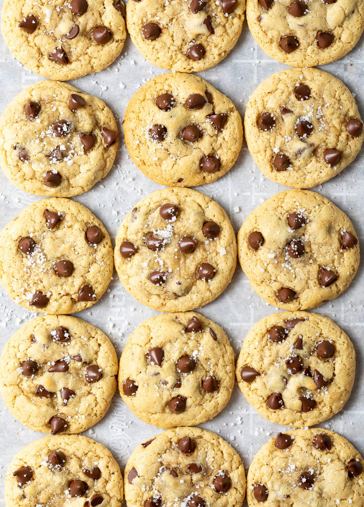Top down view of 15 chocolate chip cookies on a baking sheet.