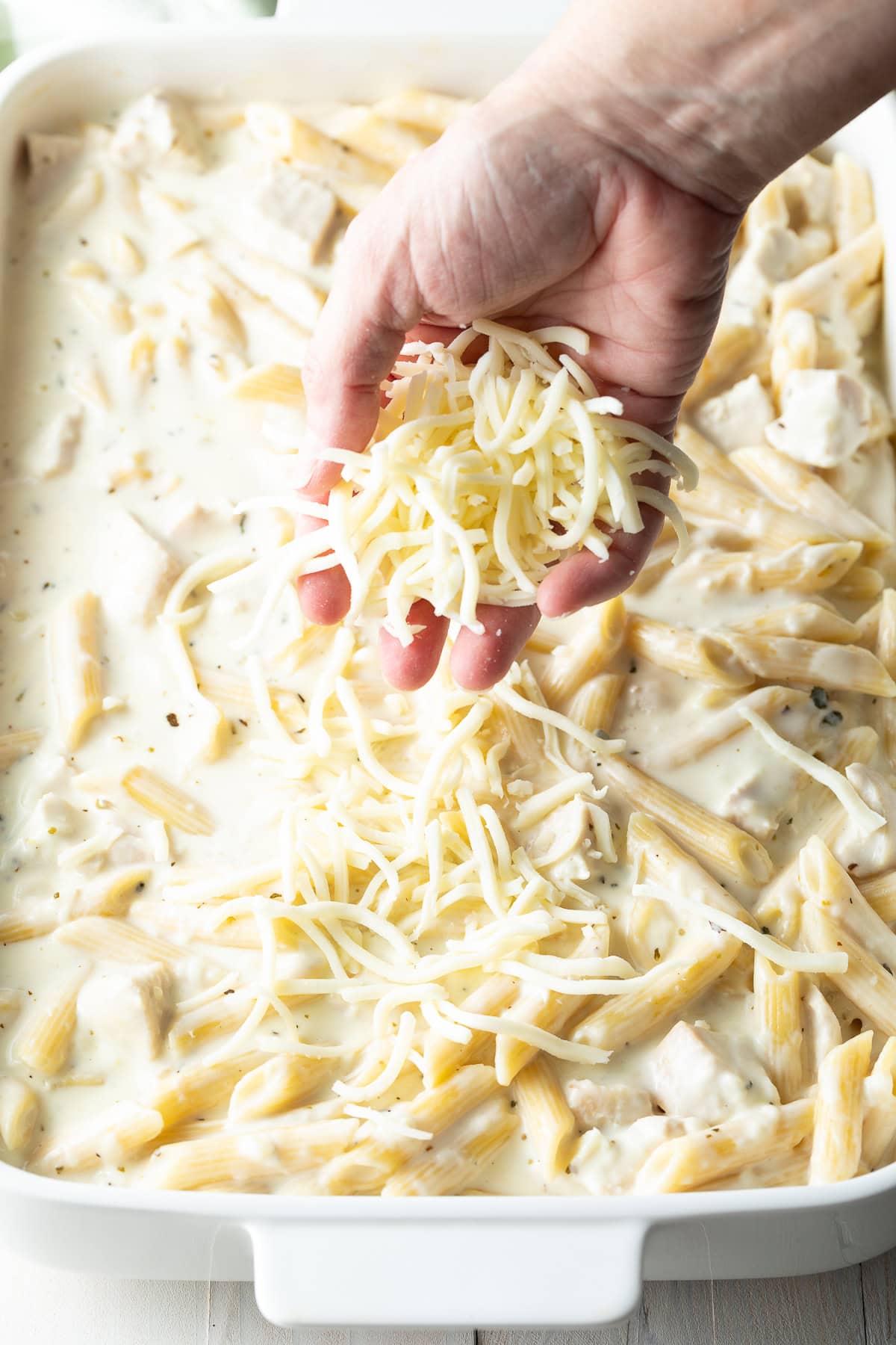 Cheesy Chicken Alfredo Pasta Bake A Spicy Perspective