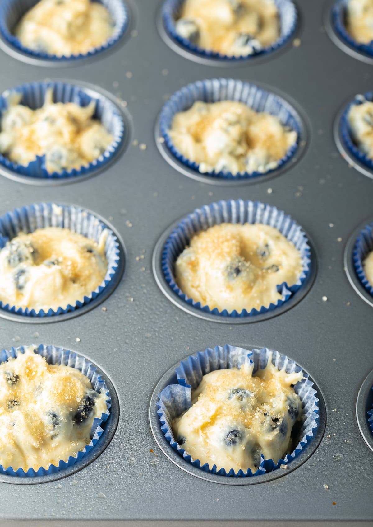 Blueberry muffin batter that has been scooped into a paper-lined muffin tray.