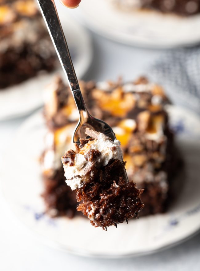 forkful of chocolate cake and layered goodies