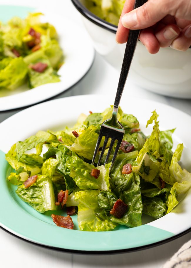 fork taking a bite of killed lettuce salad
