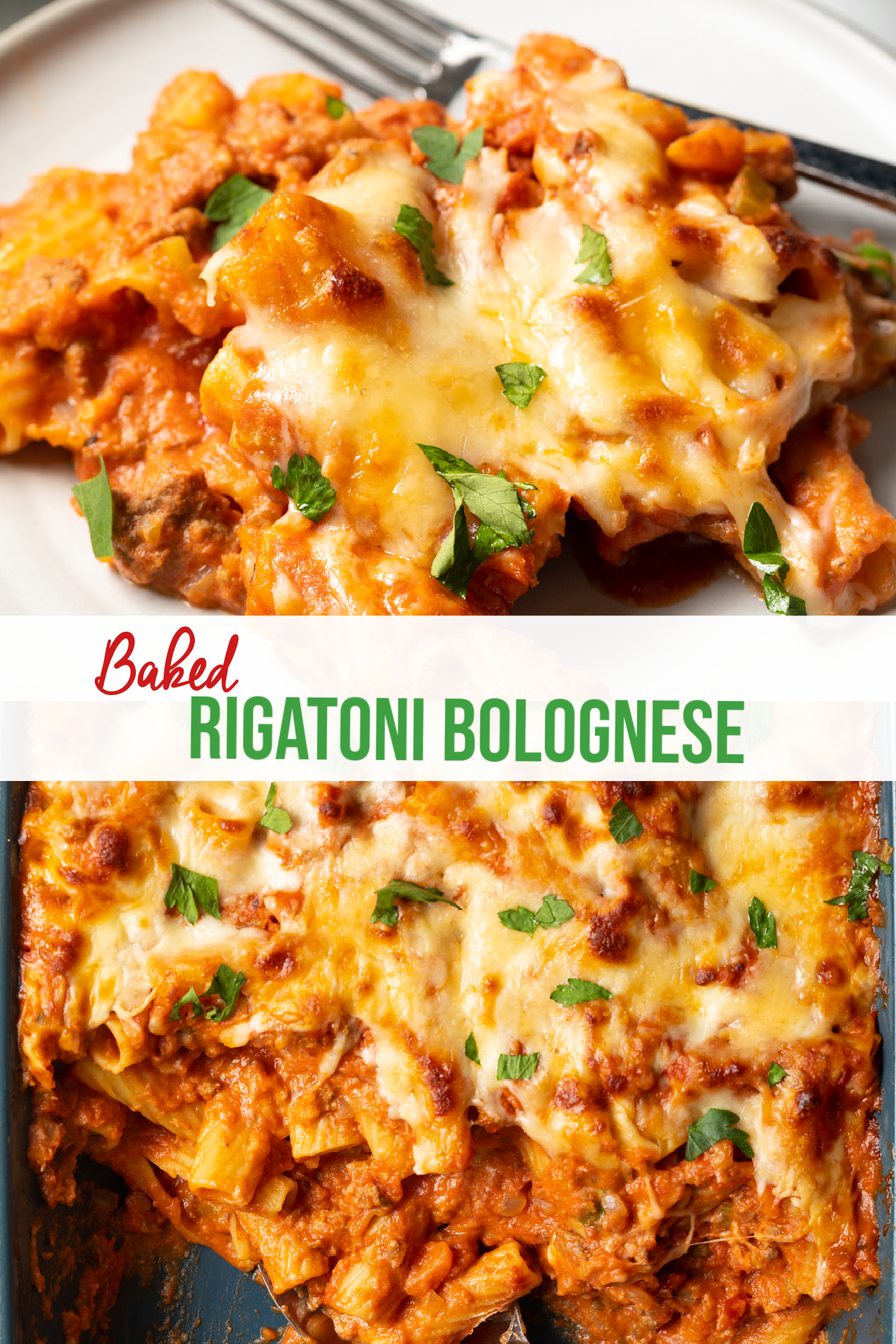 creamy baked rigatoni bolognese