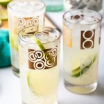 Texas Ranch Water Cocktail - 59