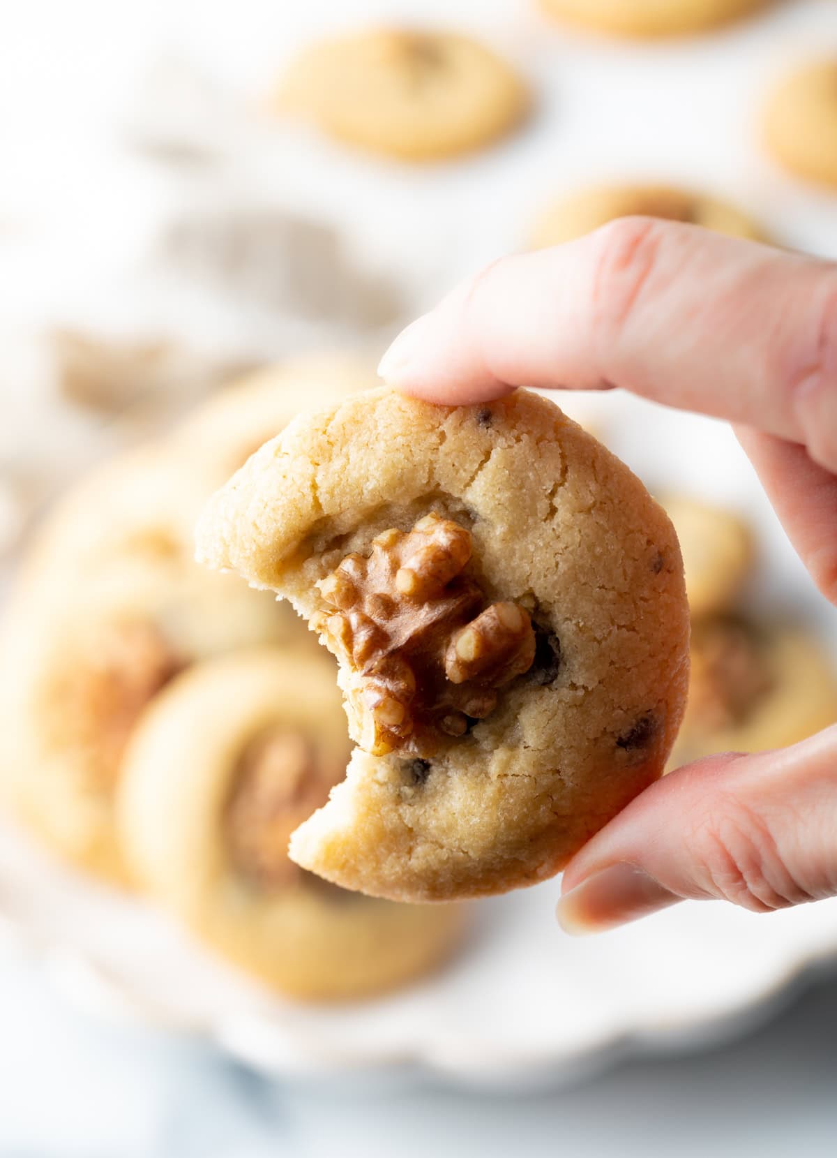 A hand holding a chocolate chip and walnut cookie with a bite taken out of it.