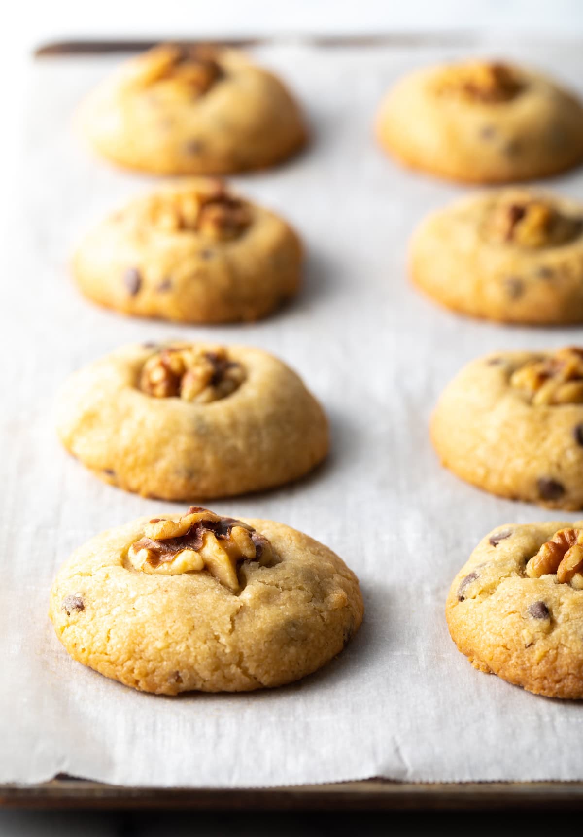 Freshly baked chocolate chip and walnut cookies lined up on a baking tray with white parchment paper.