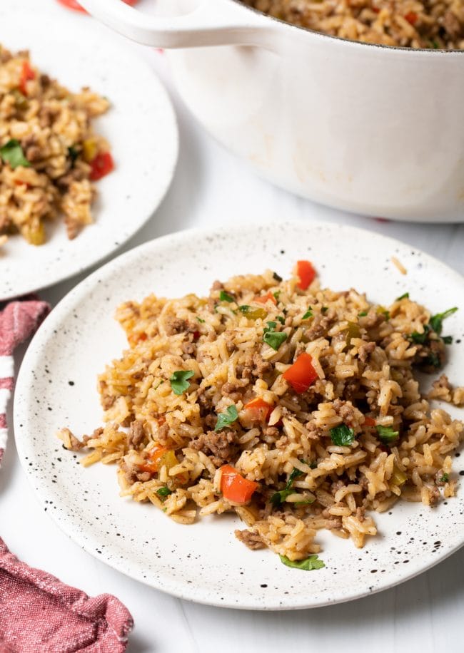 Closeup of plated dirty rice on a white plate. 