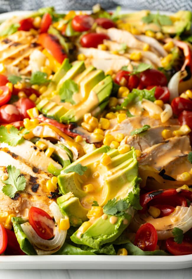 Grilled Chicken Fajita Salad - 57