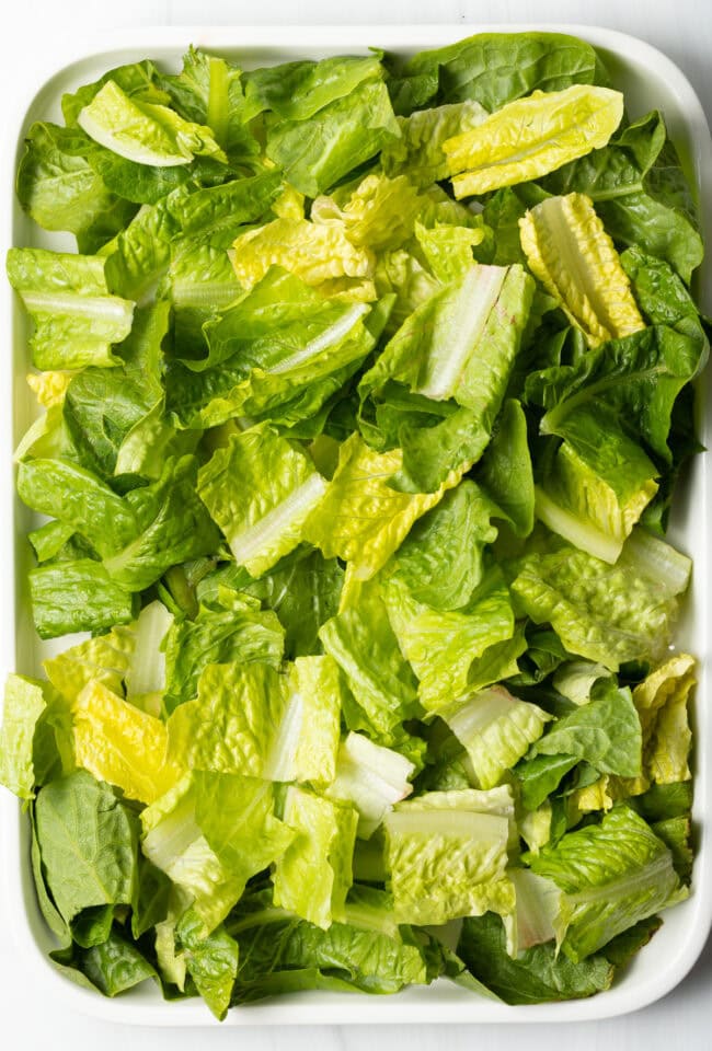Grilled Chicken Fajita Salad - 28
