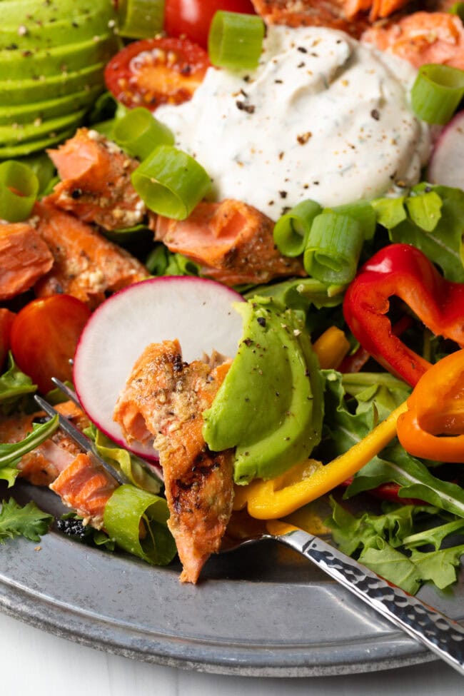 Grilled Salmon Salad Recipe - 13