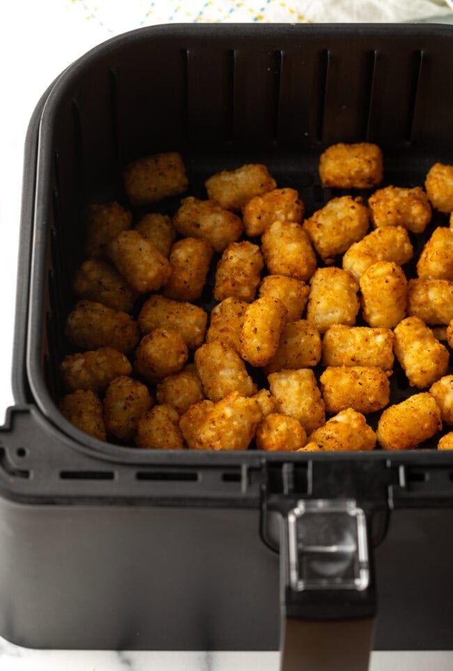 Tater Tots in Air Fryer - 95