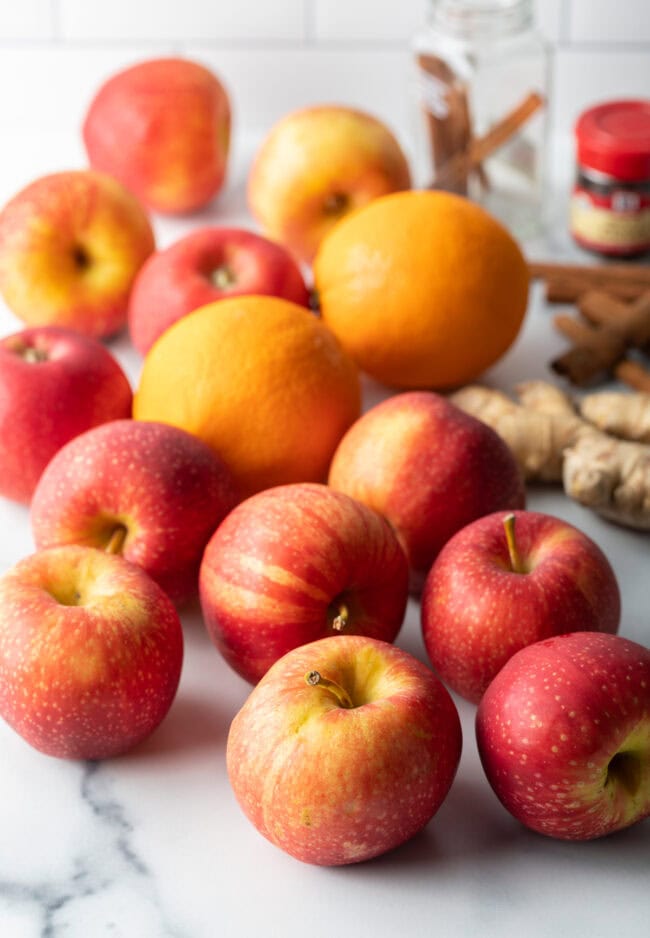 Homemade Apple Cider Recipe - 7
