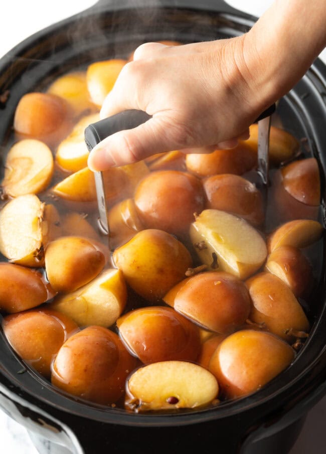 Homemade Apple Cider Recipe - 19