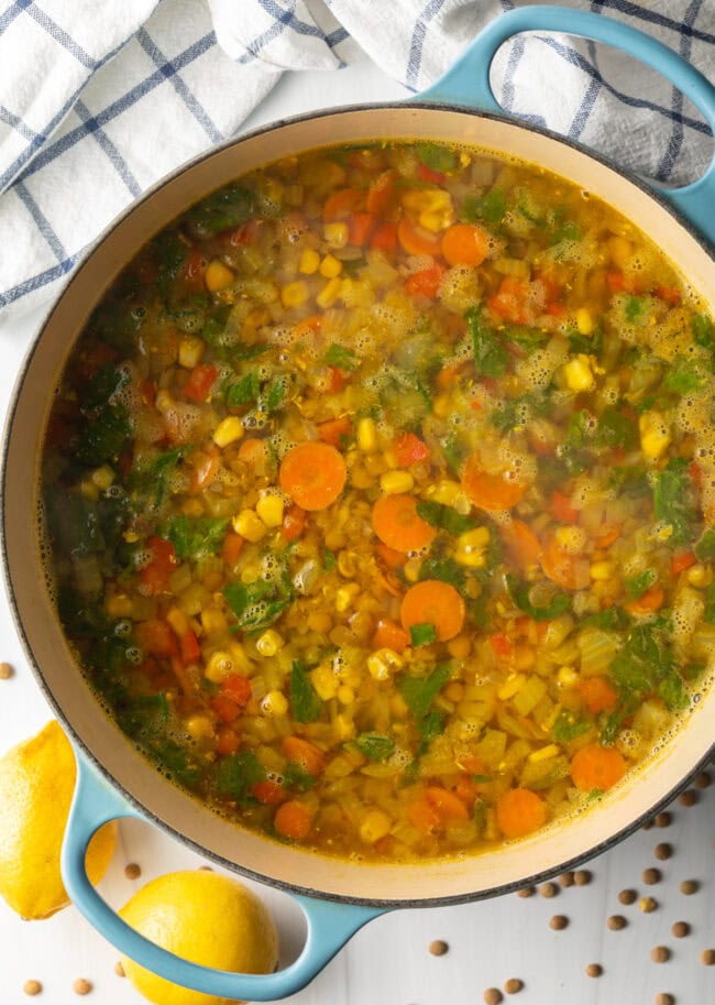 Soup with Kale and Lentils - 68