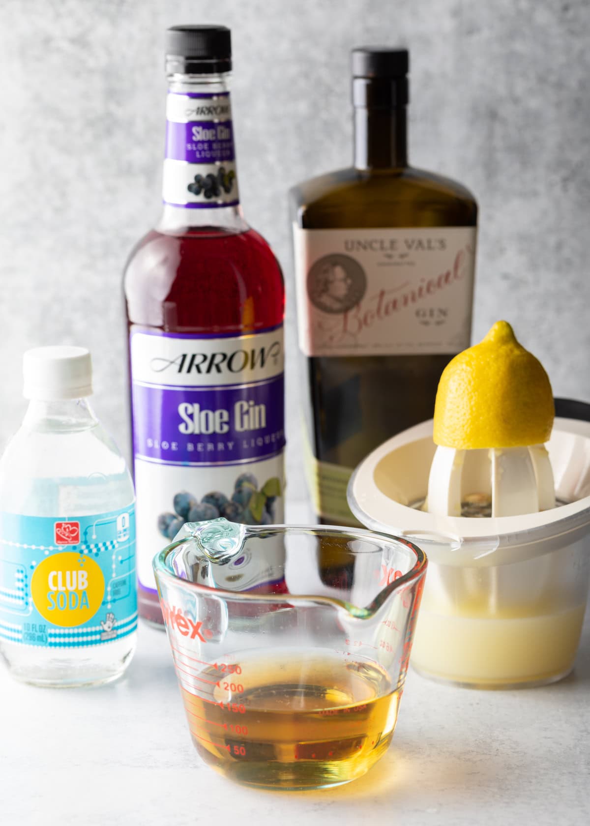 Sloe Gin Fizz Cocktail Recipe + VIDEO A Spicy Perspective