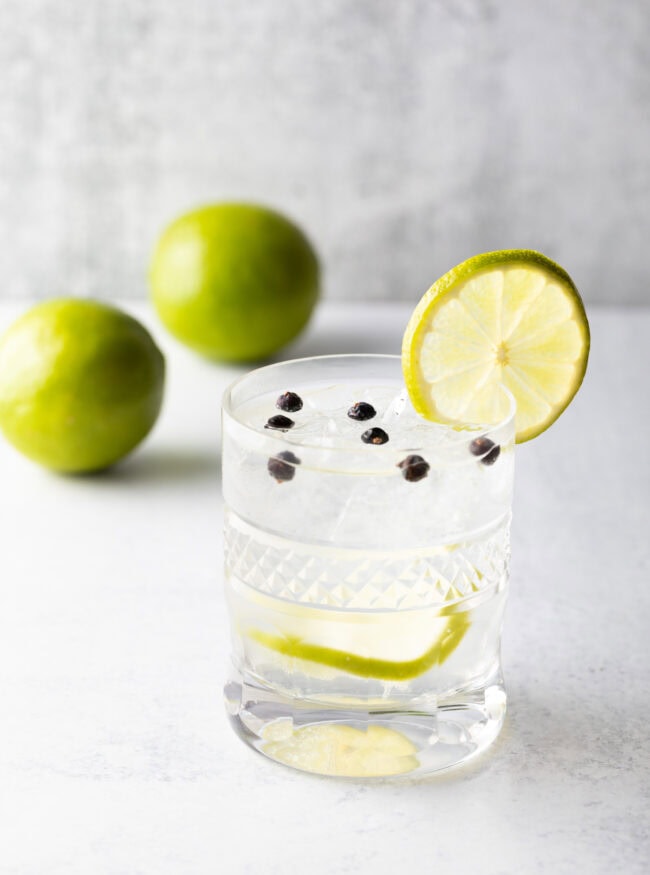 Best Gin and Tonic Recipe - 51