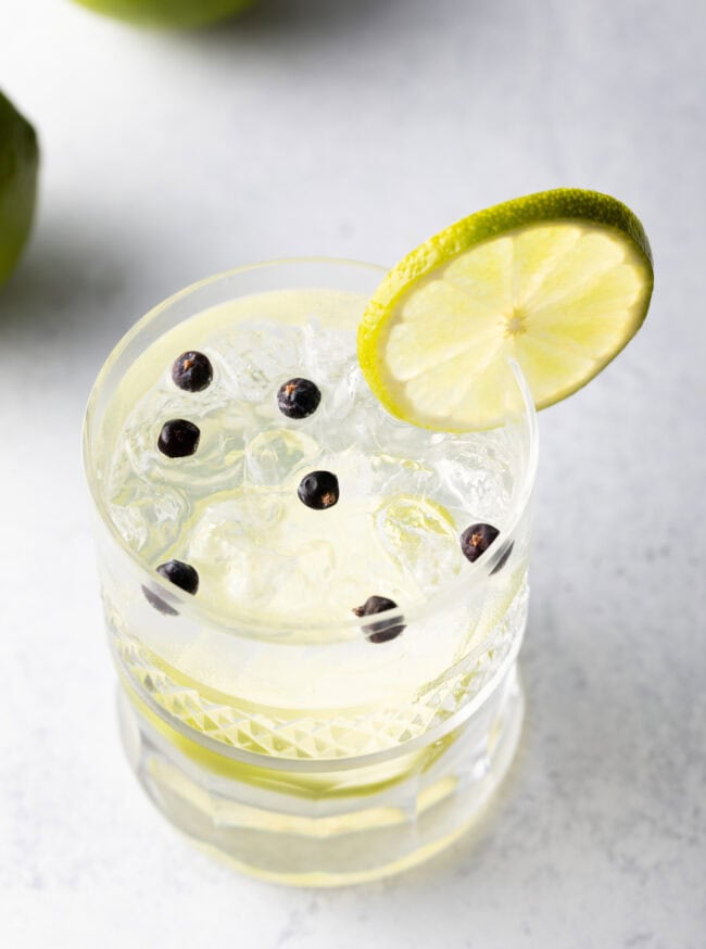 Best Gin and Tonic Recipe - 27