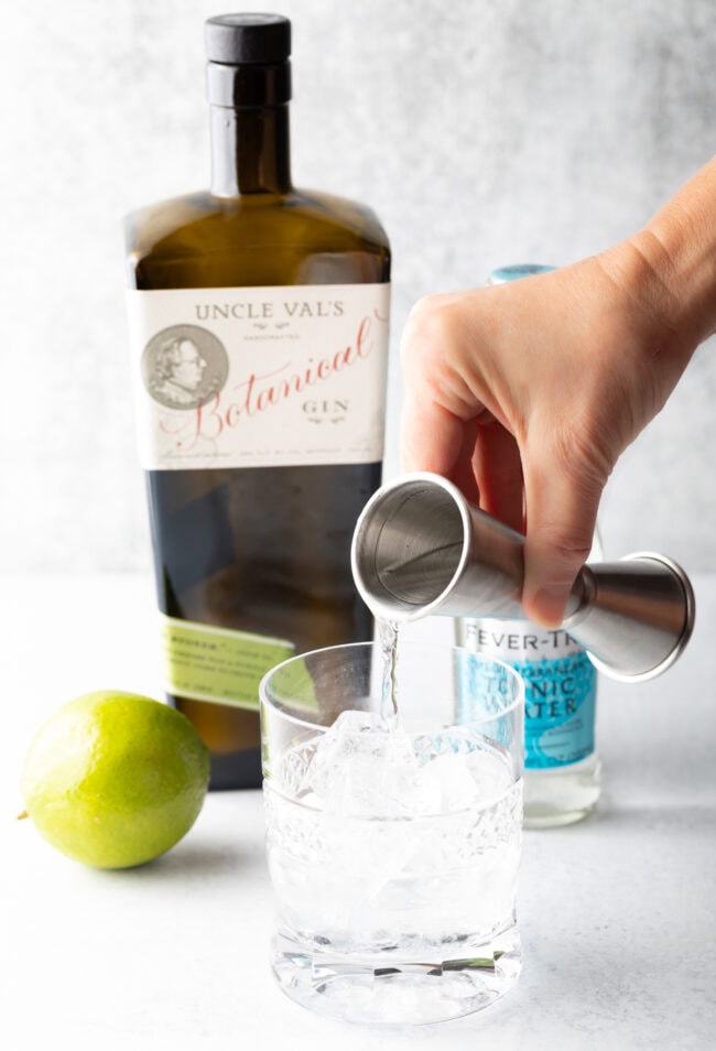 Best Gin and Tonic Recipe - 73
