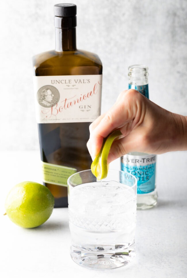 Best Gin and Tonic Recipe - 50