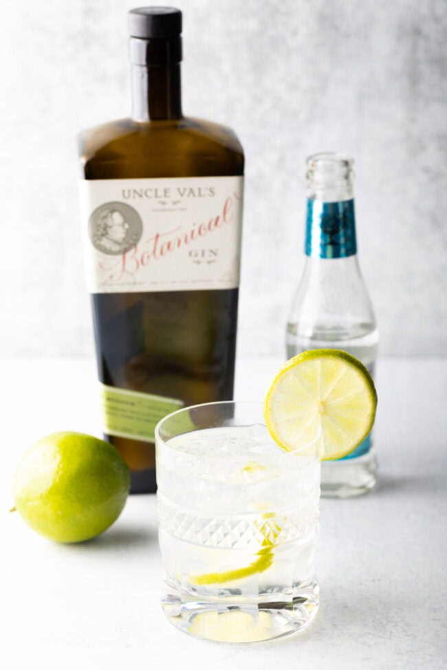 Best Gin and Tonic Recipe - 48