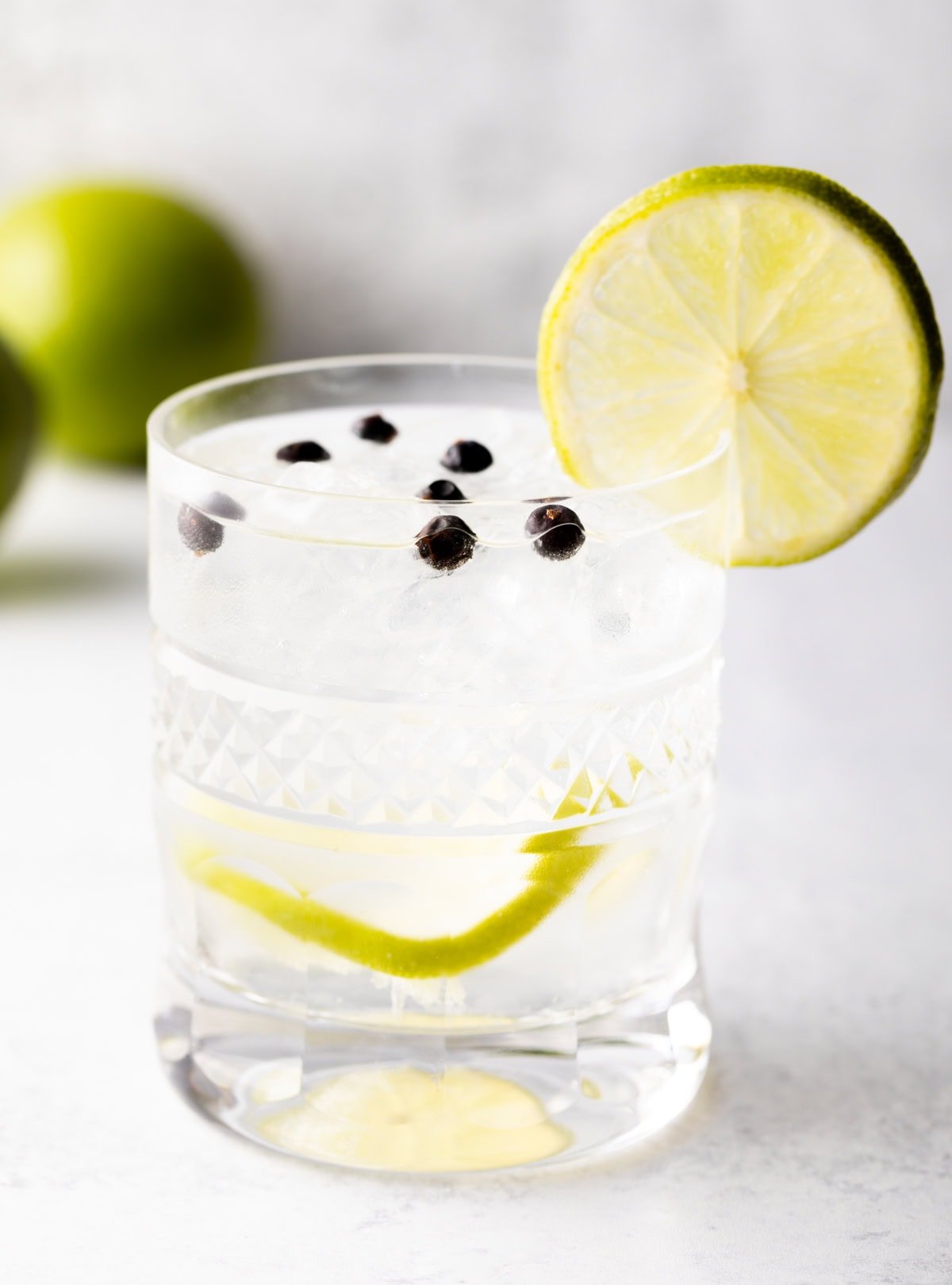 Best Gin and Tonic Recipe - A Spicy Perspective