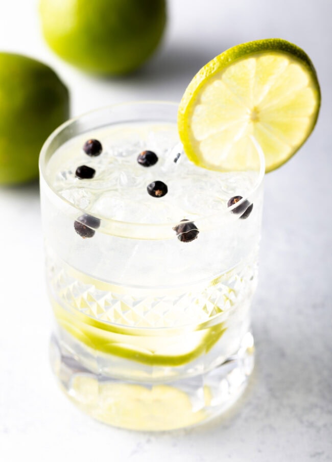 Best Gin and Tonic Recipe - 30
