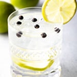 Best Gin and Tonic Recipe - 39