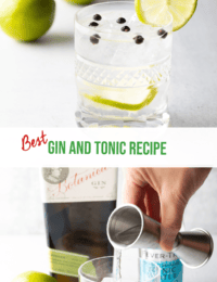 Best Gin and Tonic Recipe - 58