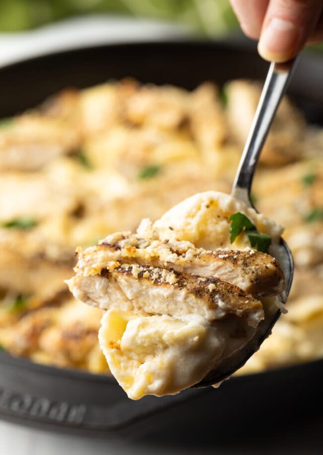 Asiago Tortelloni Alfredo with Grilled Chicken  Olive Garden Recipe  - 37