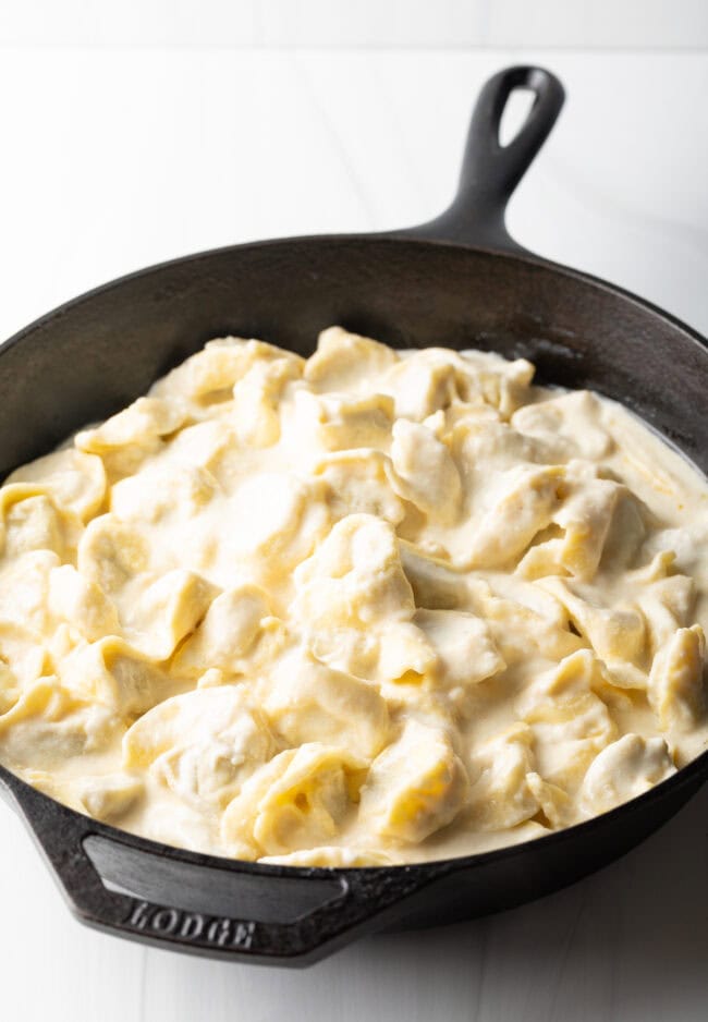 Asiago Tortelloni Alfredo with Grilled Chicken  Olive Garden Recipe  - 72