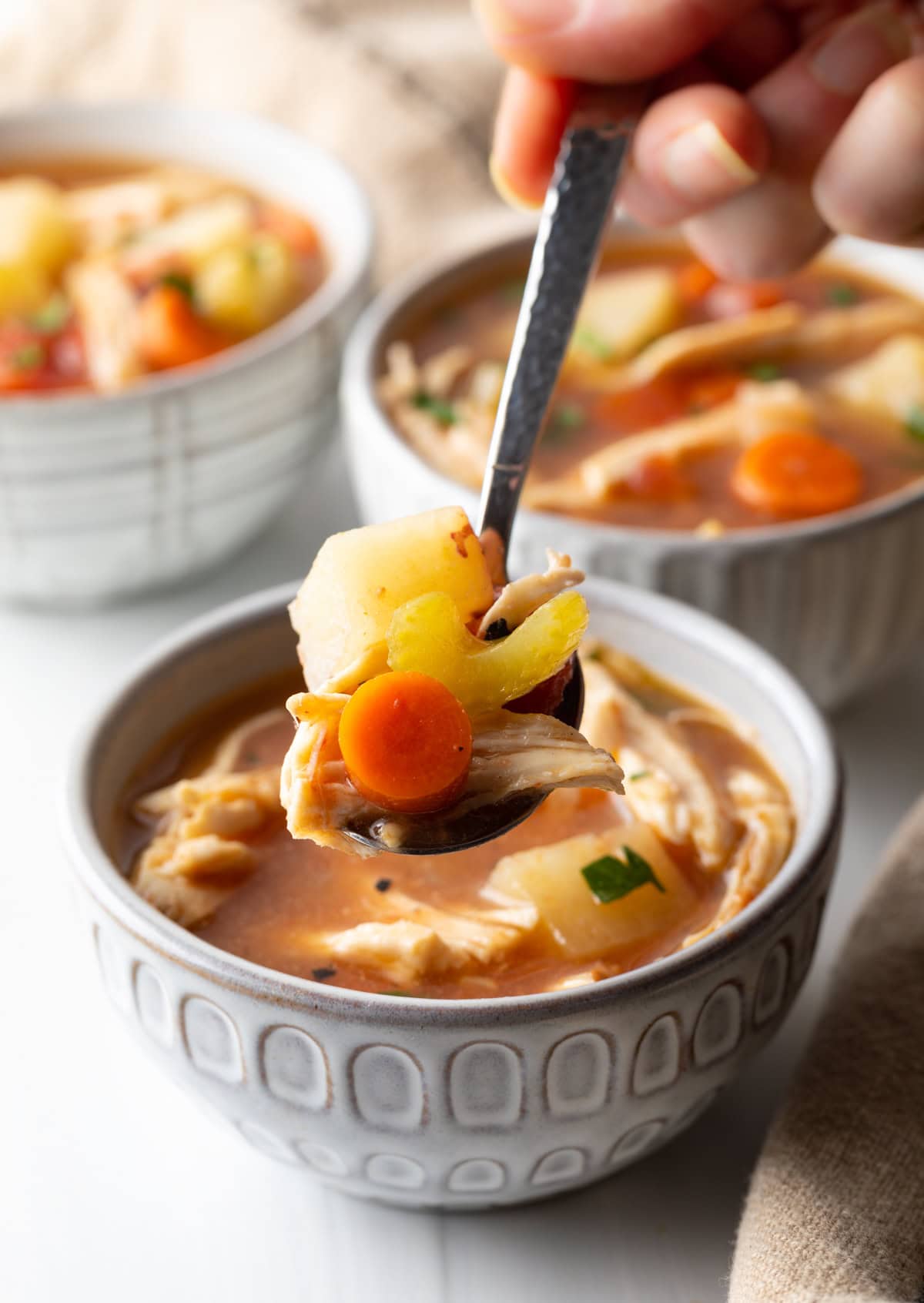 Chicken Stew (Crock Pot) - A Spicy Perspective