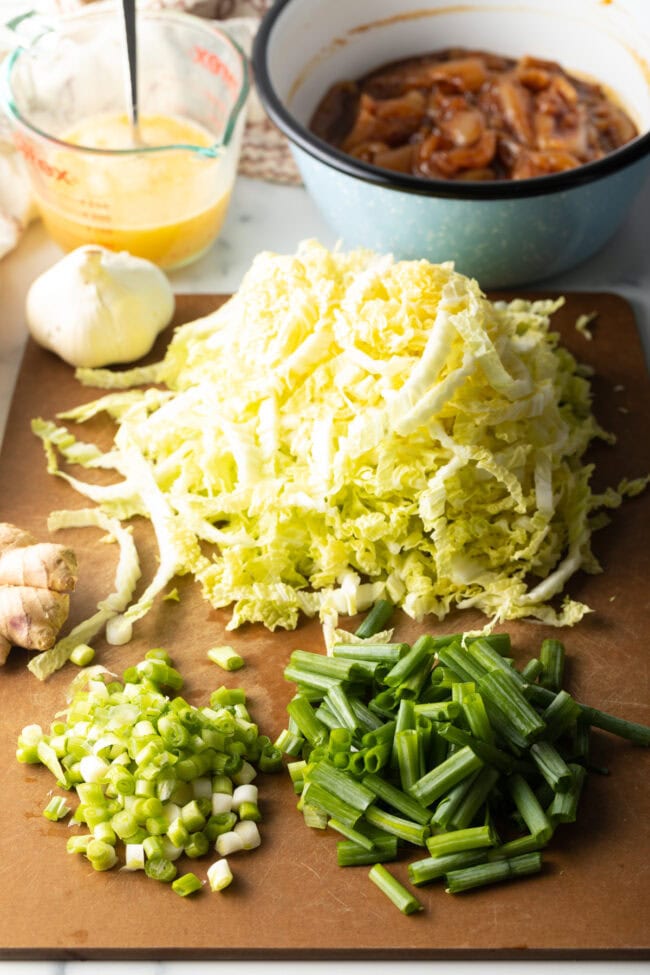 Moo Shu Chicken  or Pork  Recipe   VIDEO - 66