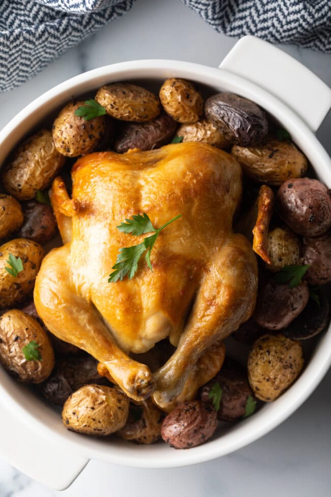 Temperature for Chicken  Cooked Chicken 101  - 23