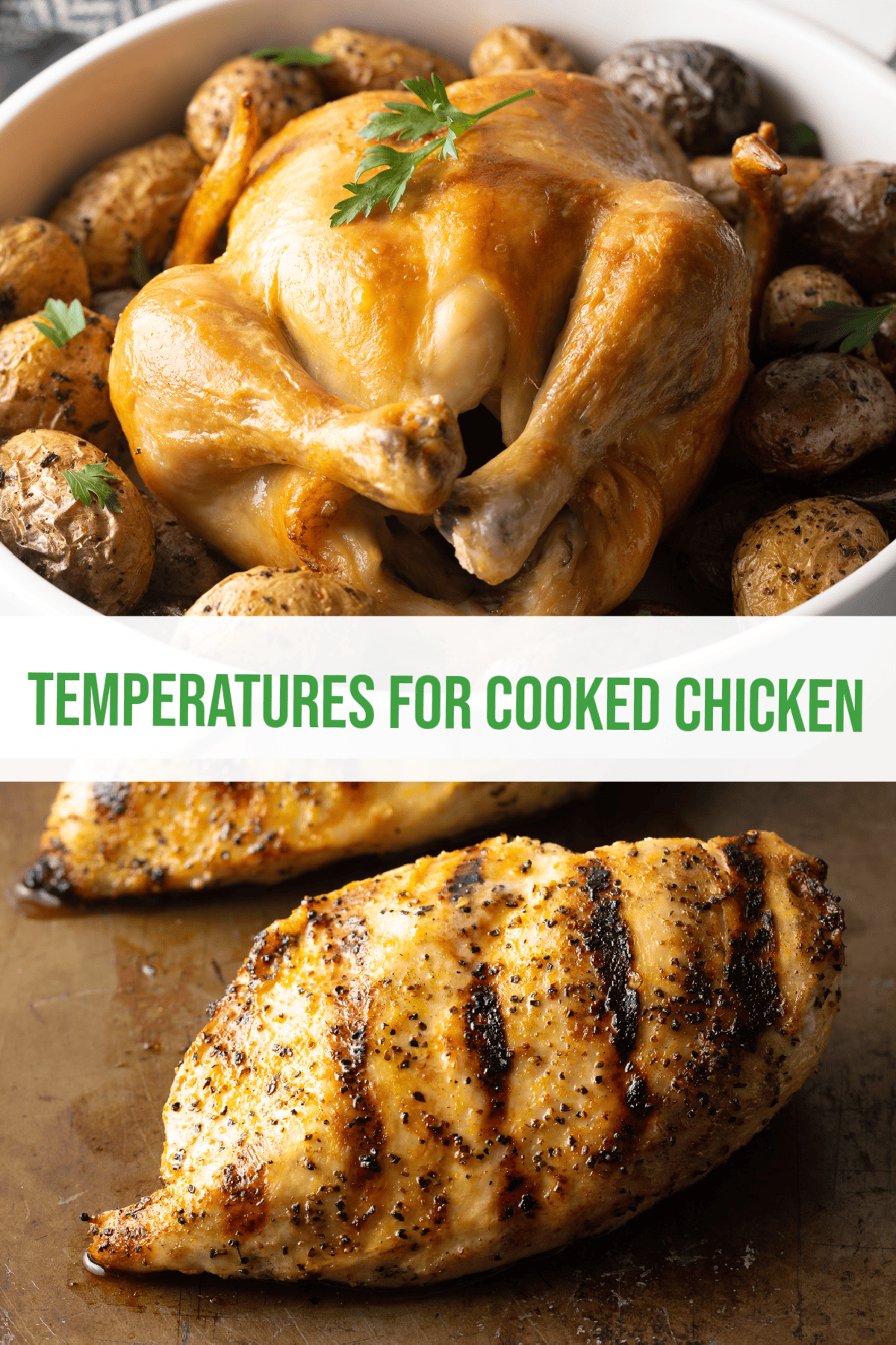 Temperature for Chicken (Cooked Chicken 101)