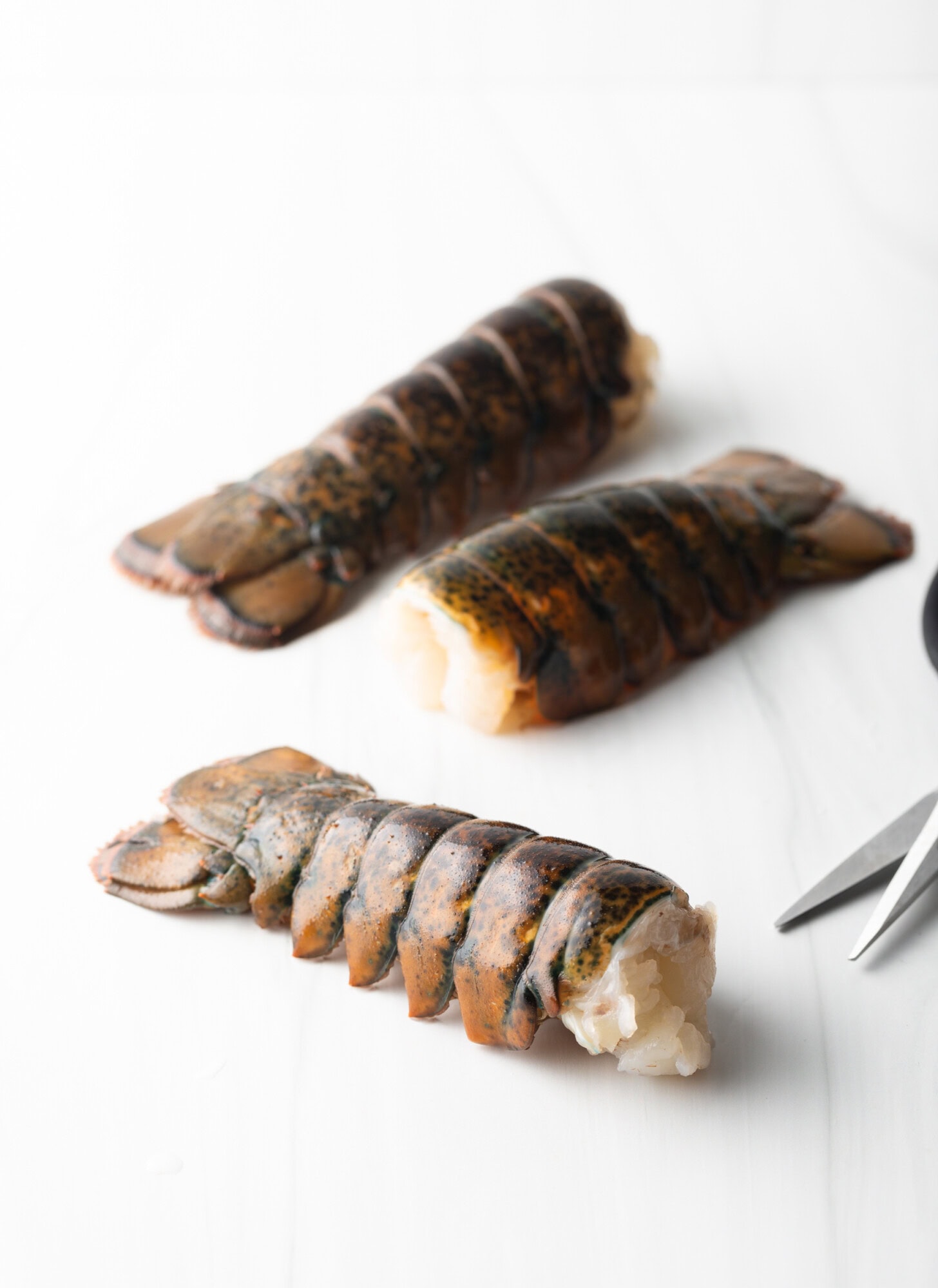 Raw tail in shell on a white background.