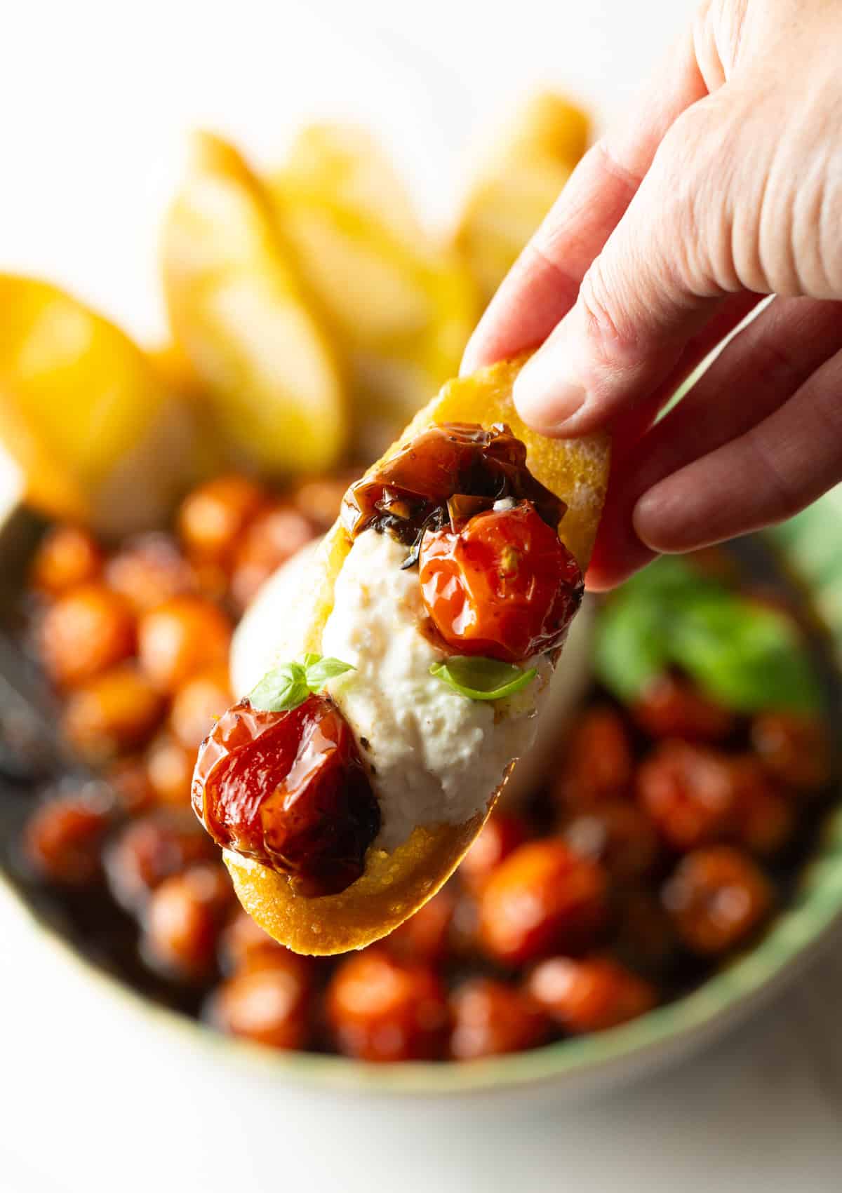 roasted cherry tomatoes scooped up with burrata cheese.