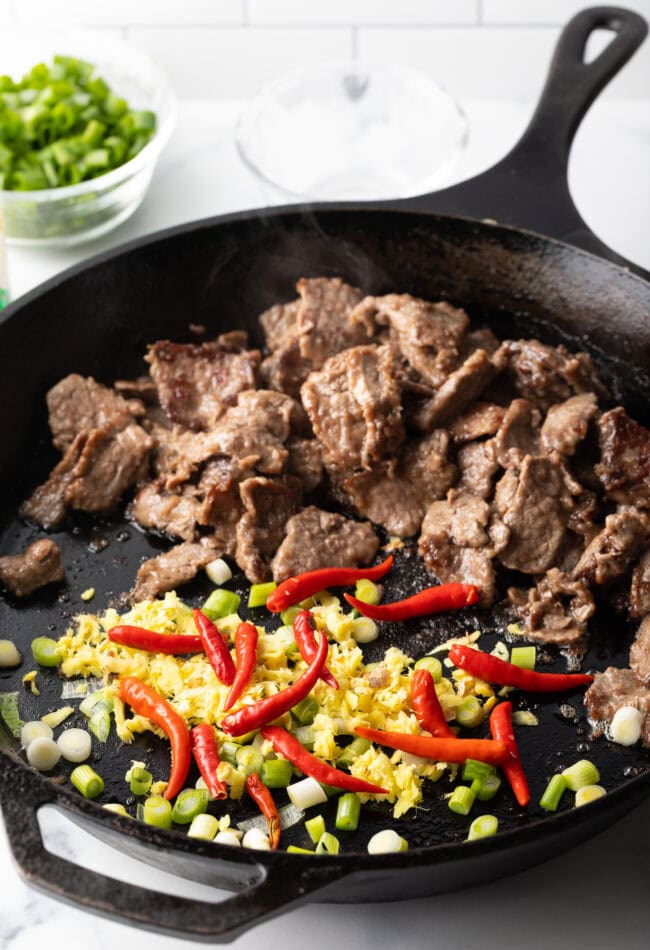 Kung Pao Beef Stir Fry Recipe - 21