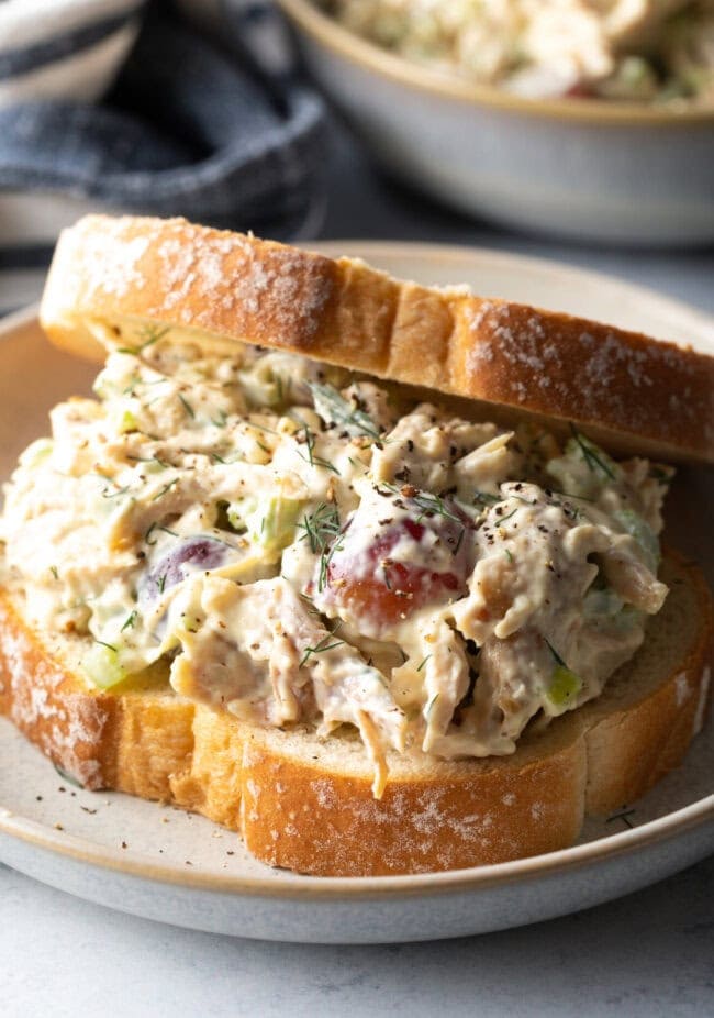 Turkey Salad Recipe  for Sandwiches  - 47