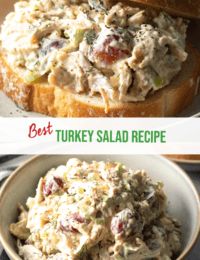 Turkey Salad Recipe  for Sandwiches  - 53