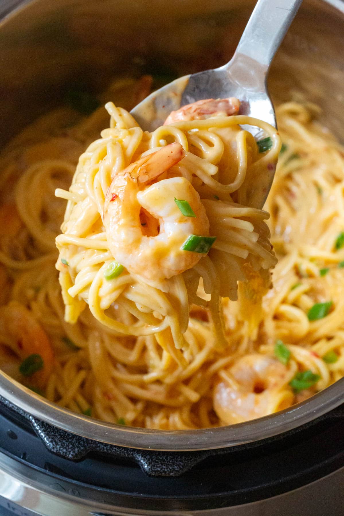 Close up of a spoon lifting some pasta and shrimp. 
