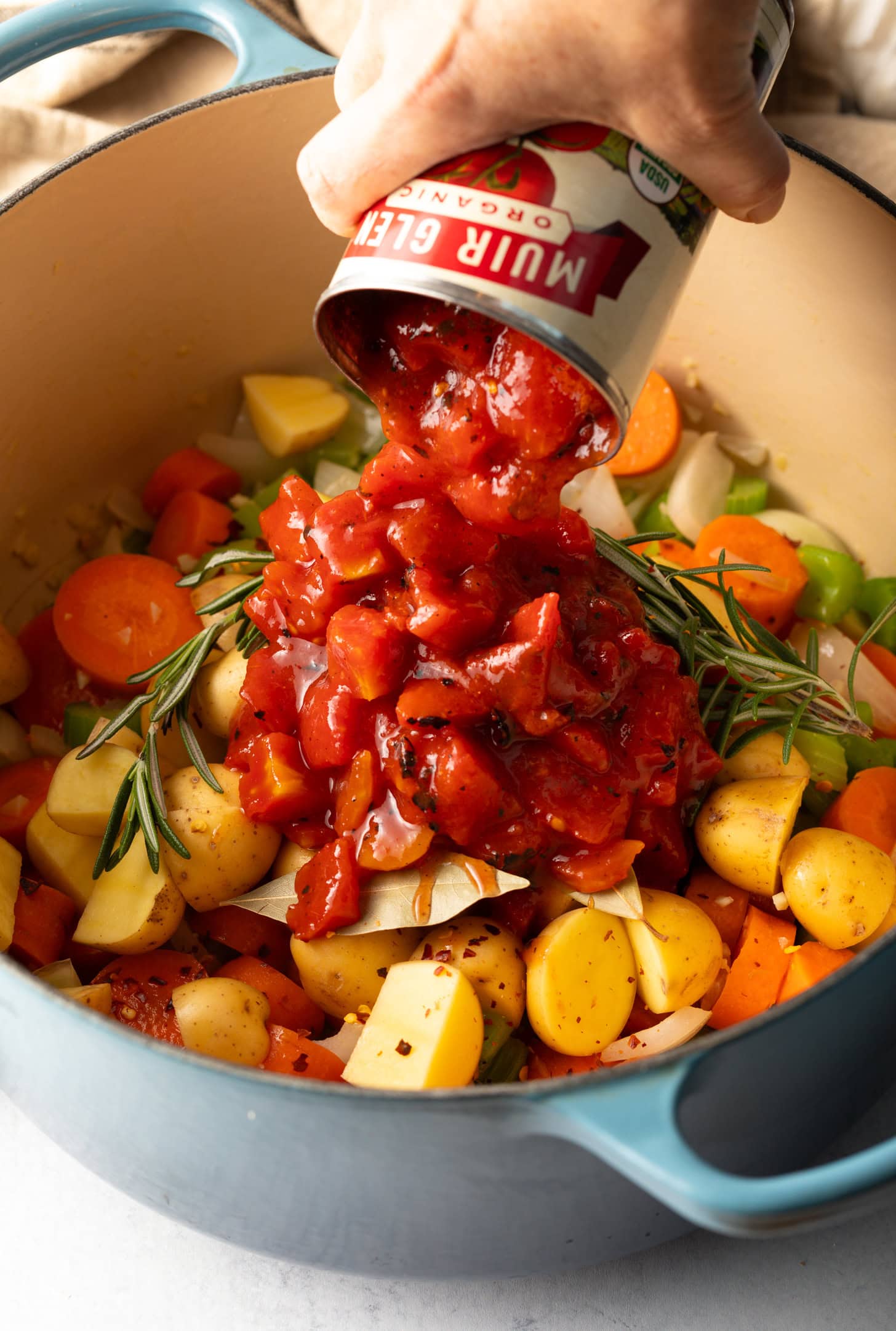 Homemade Vegetable Soup Recipe (Veggie Soup) - A Spicy Perspective