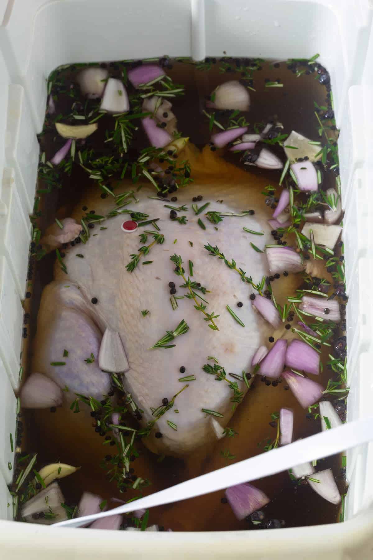 Turkey Brine Recipe - Simple Ice and flavor bath for the turkey in a cooler.